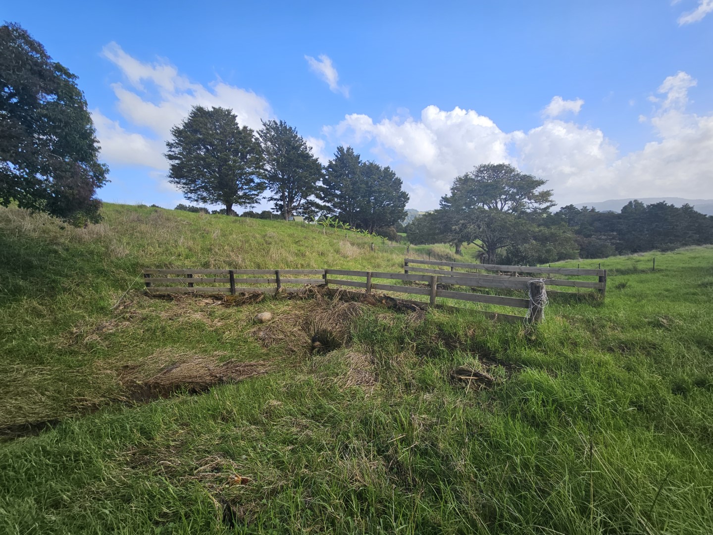 Living in Northland, New Zealand: Our Honest Guide After Four Years in the Bay of Islands