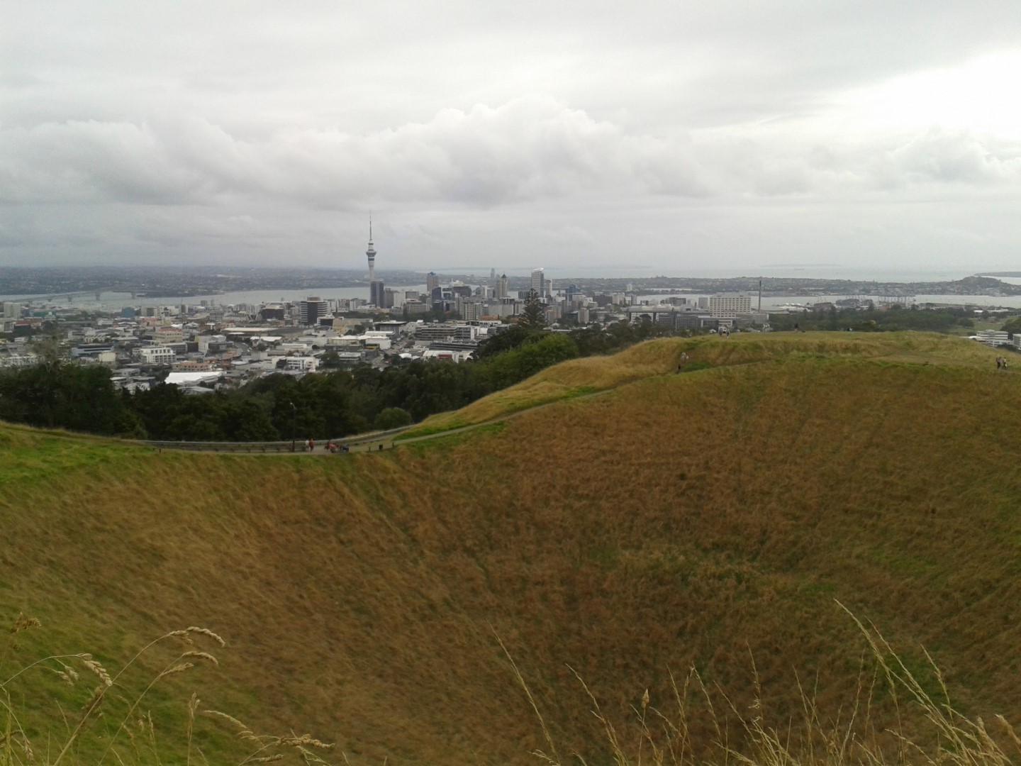 Living in Auckland: What It's Really Like