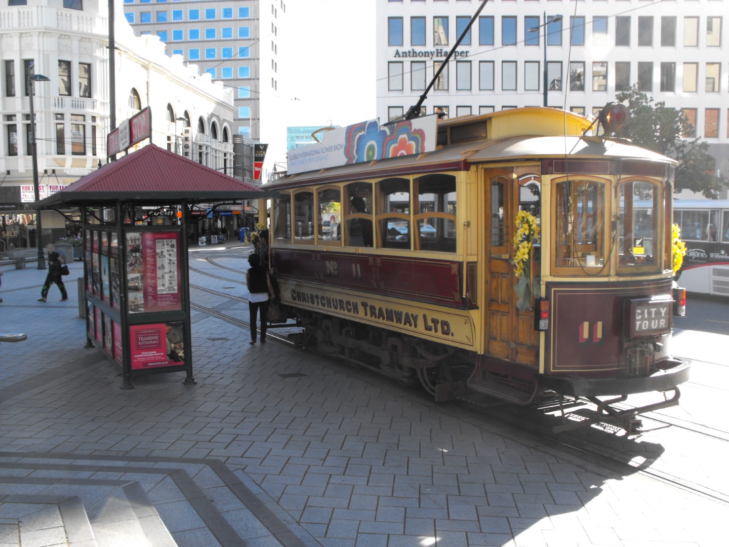Public Transport in New Zealand: A Newcomer's Guide