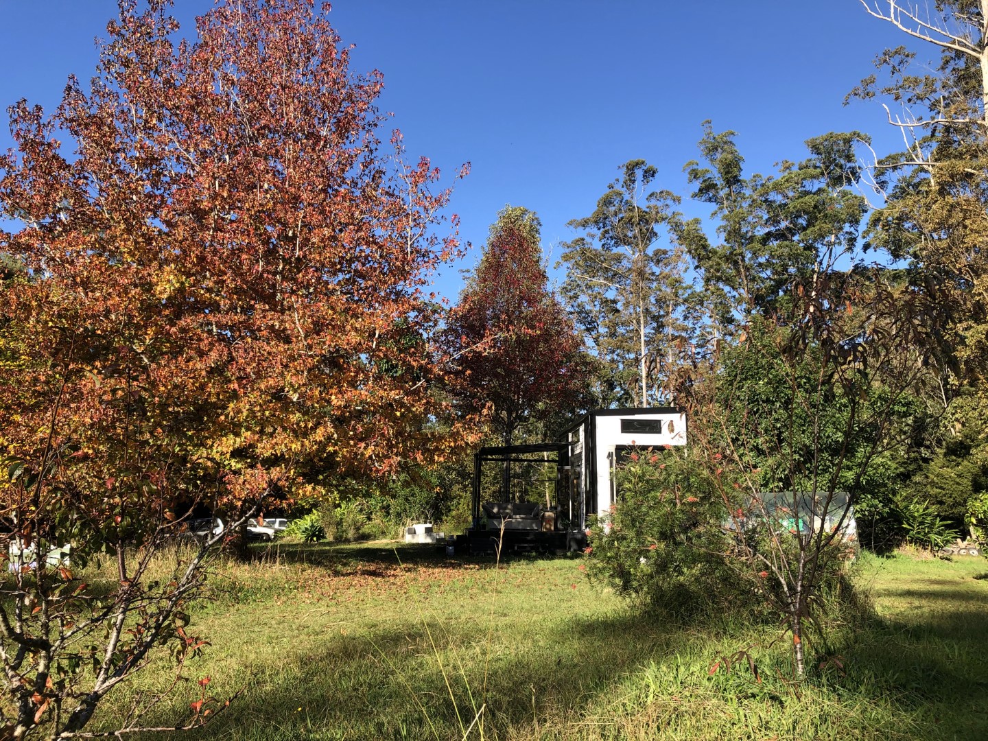 Tiny House Living in New Zealand: An Honest Guide