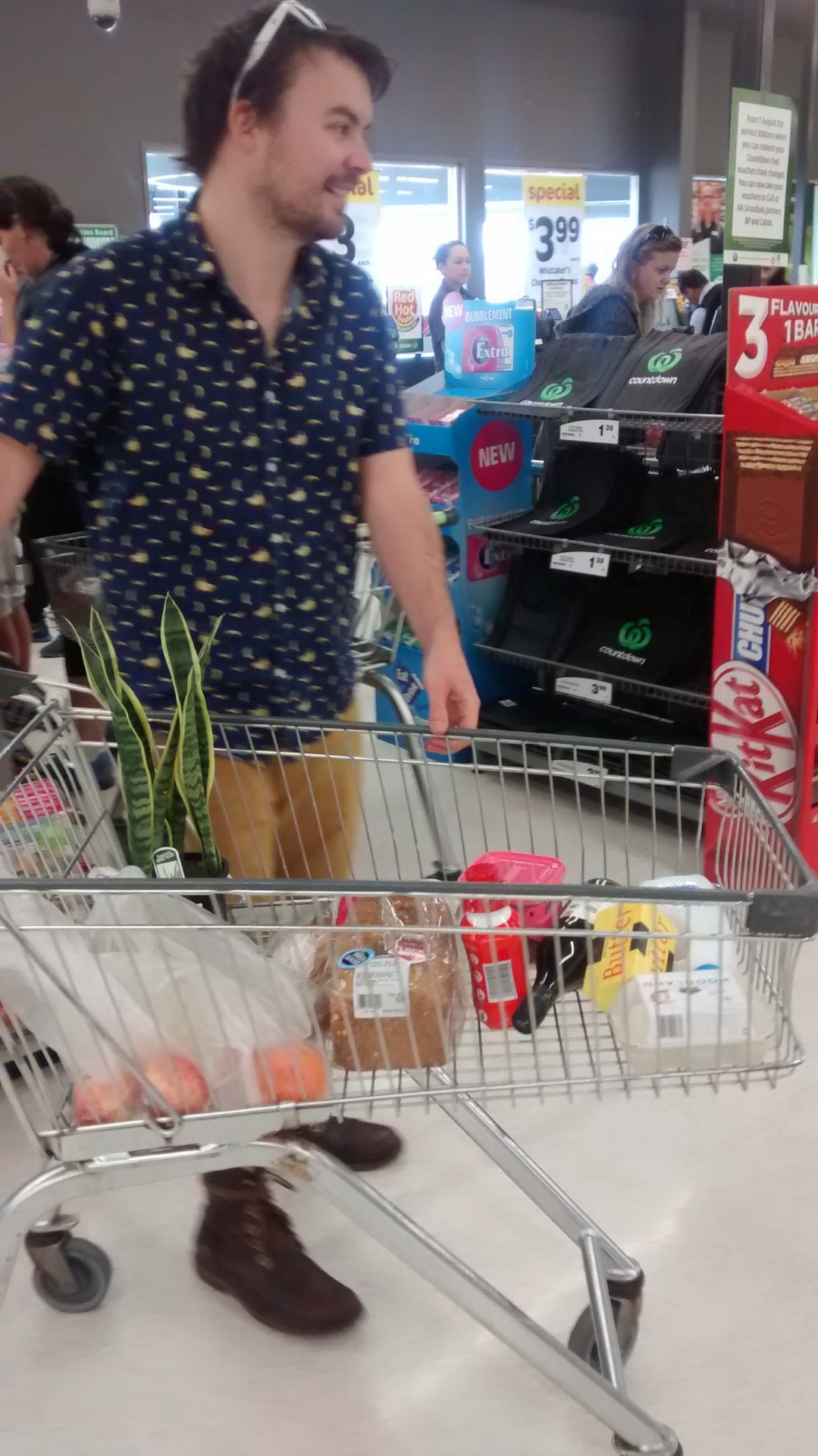 The Cheapest Supermarkets in New Zealand and How to Save on Groceries