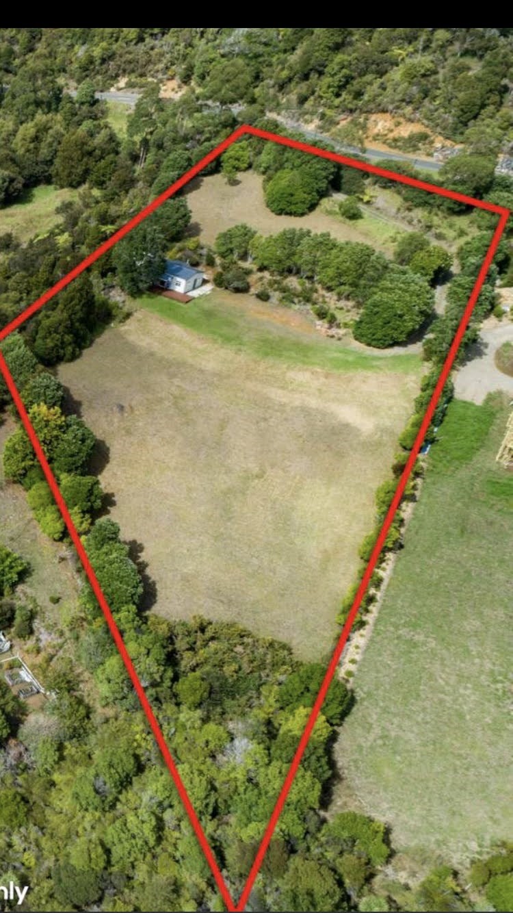Subdividing a Section in New Zealand: What We Learned Doing It