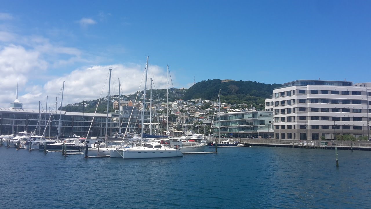 Moving to New Zealand from South Africa