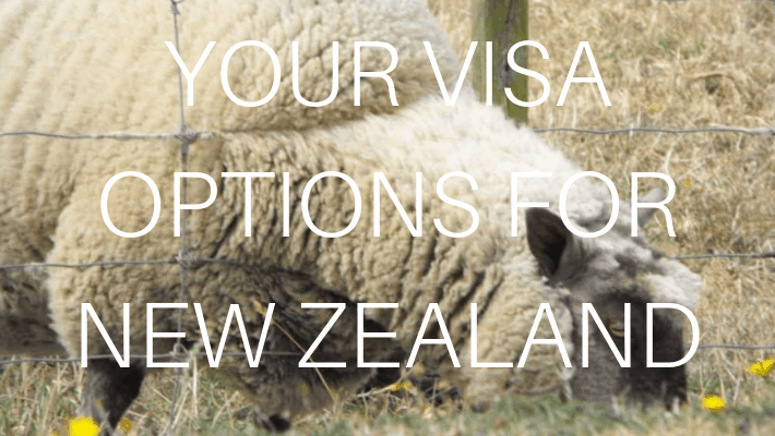 New Zealand Visa Options 7584