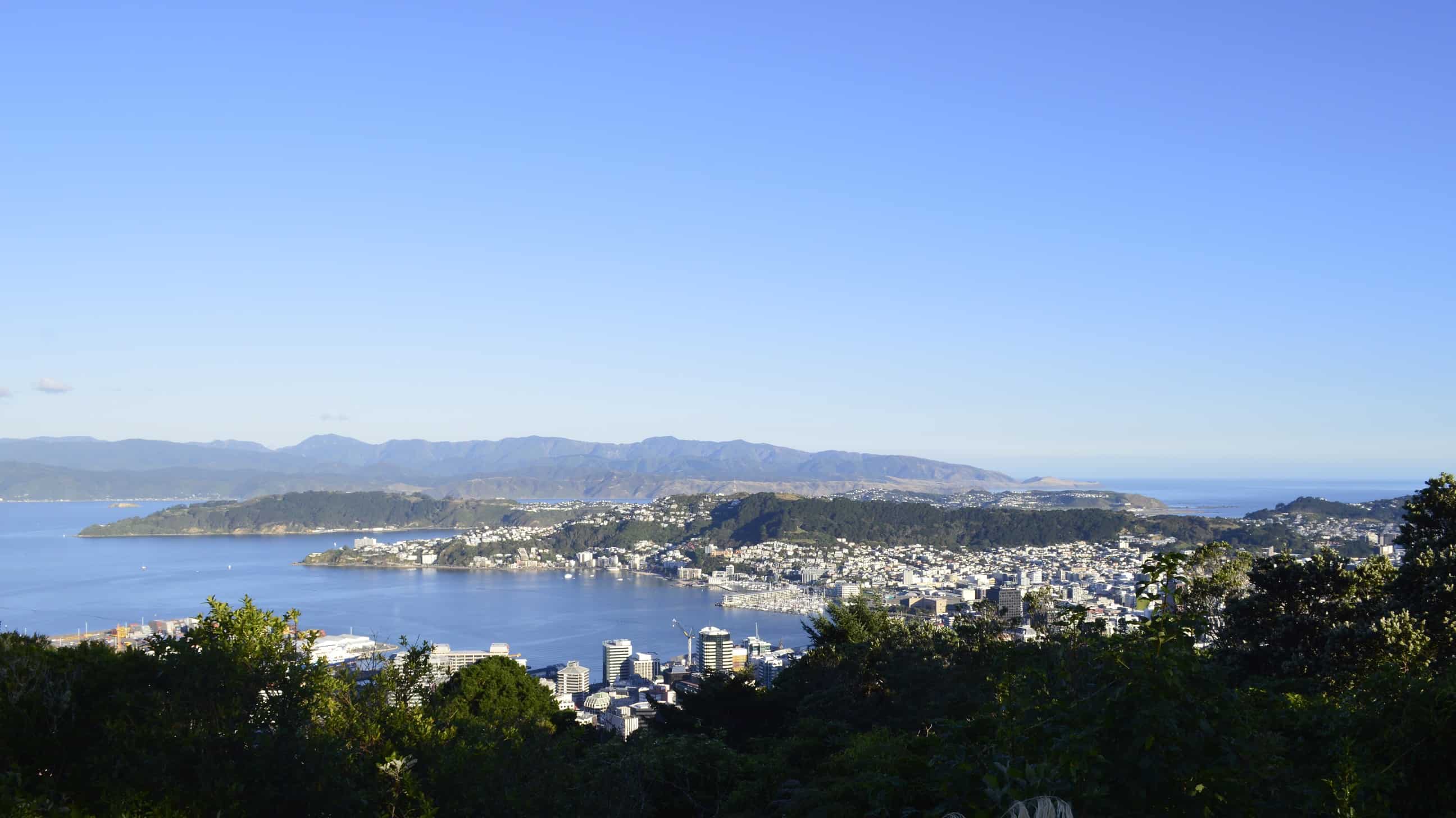 City view of Wellington NZ