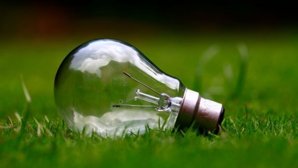 lightbulb going nz
