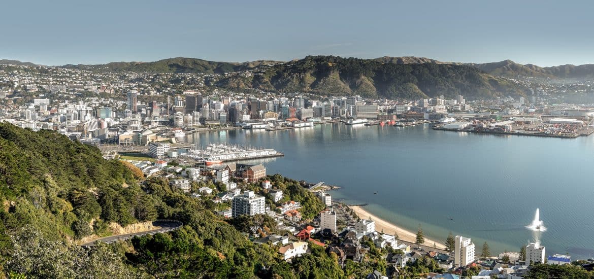 Wellington City and Harbour