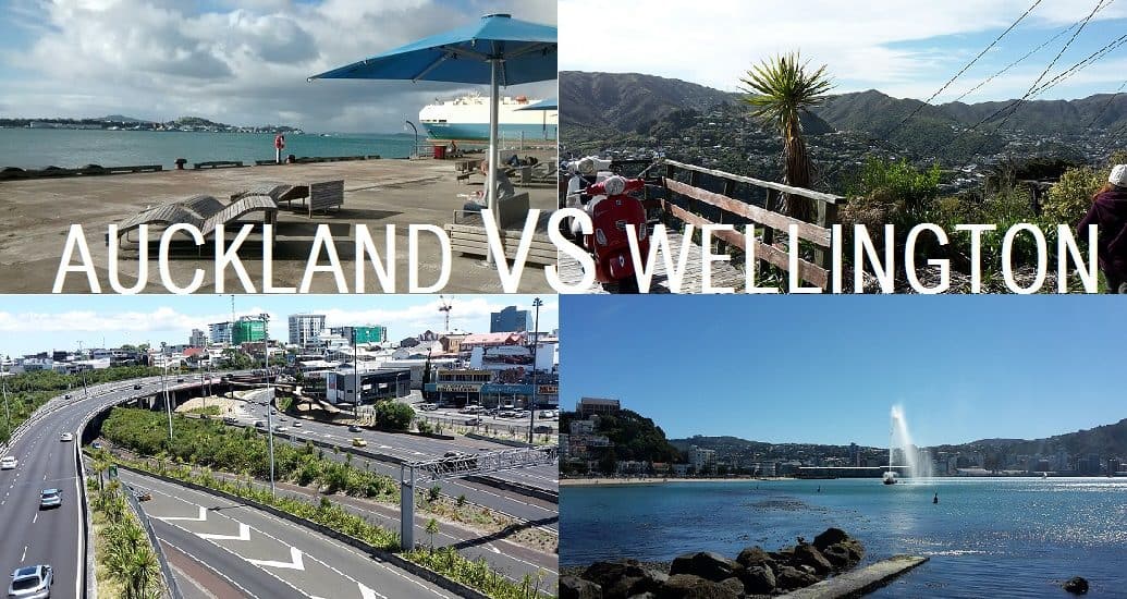 auckland-vs-wellington
