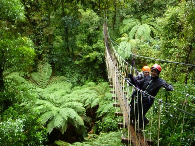 Canopy Tour Rotorua