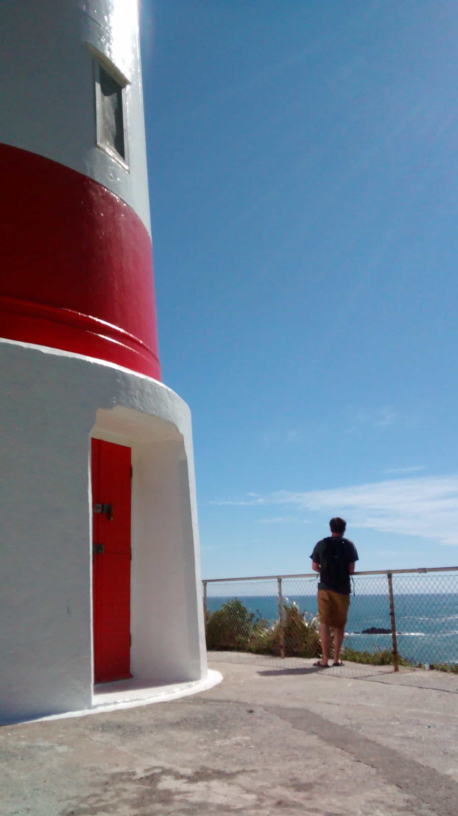 Cape Palliser - Going NZ