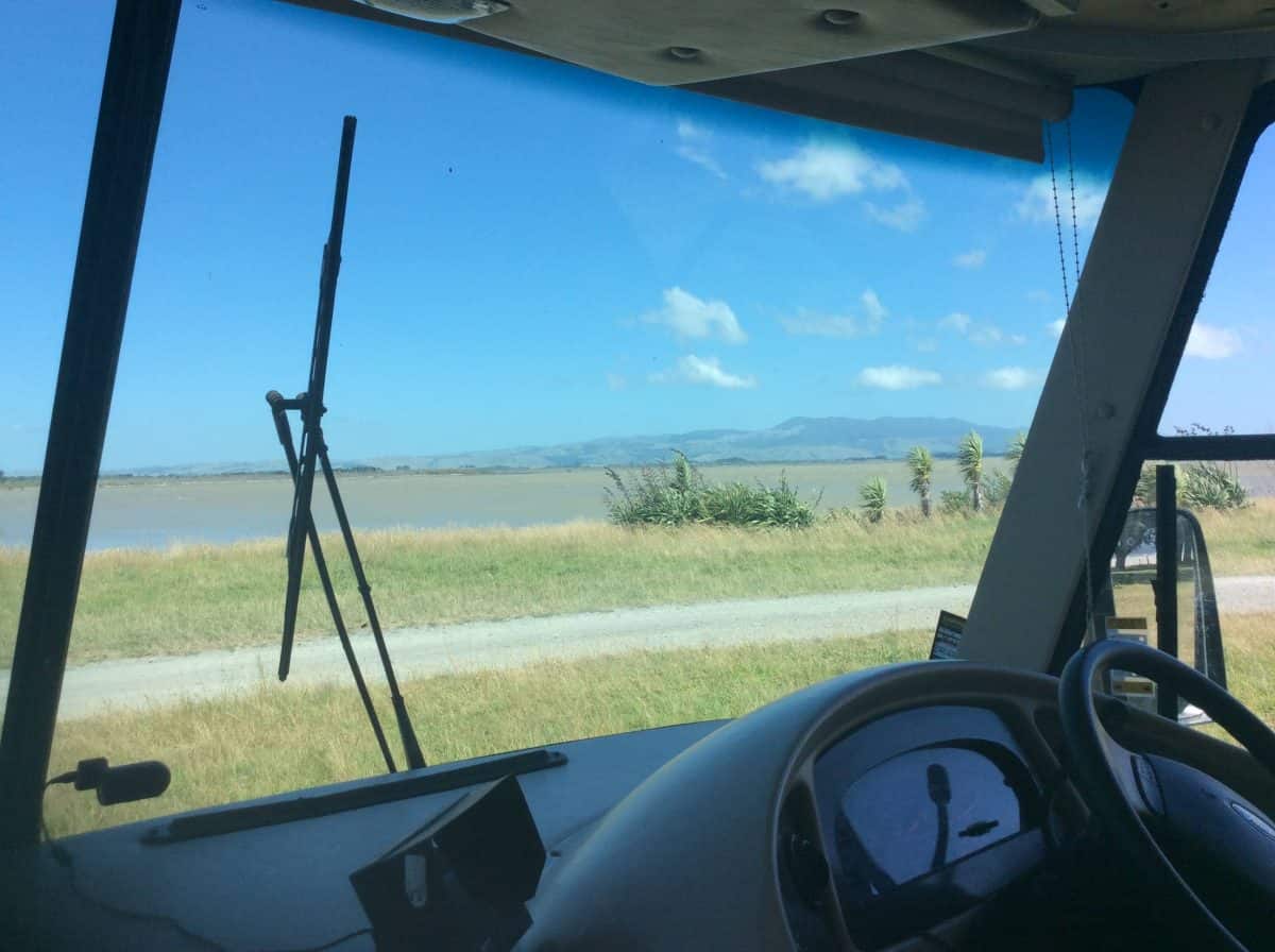 Our waterfront view for the week at Lake Wairarapa