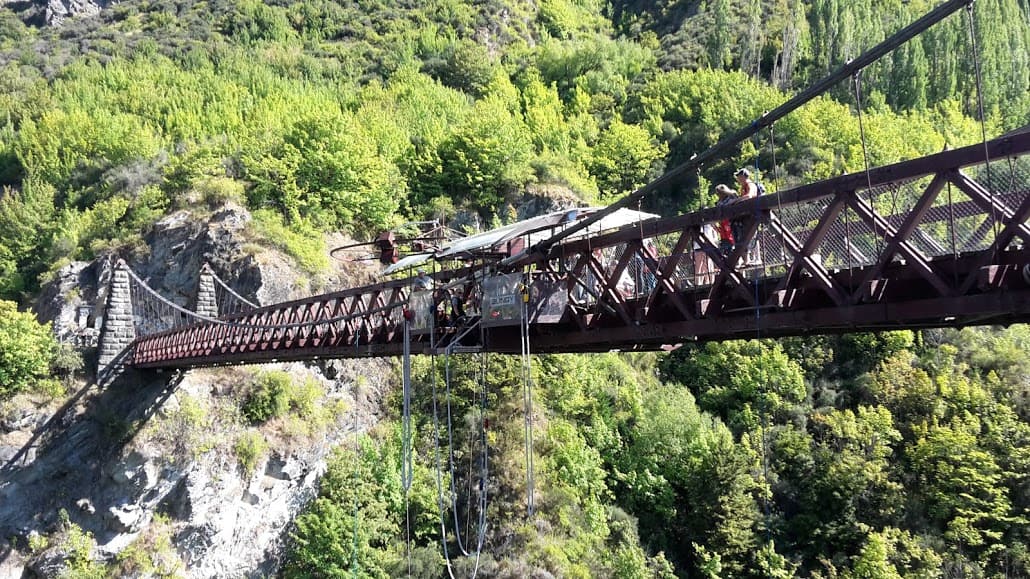 bungy nz